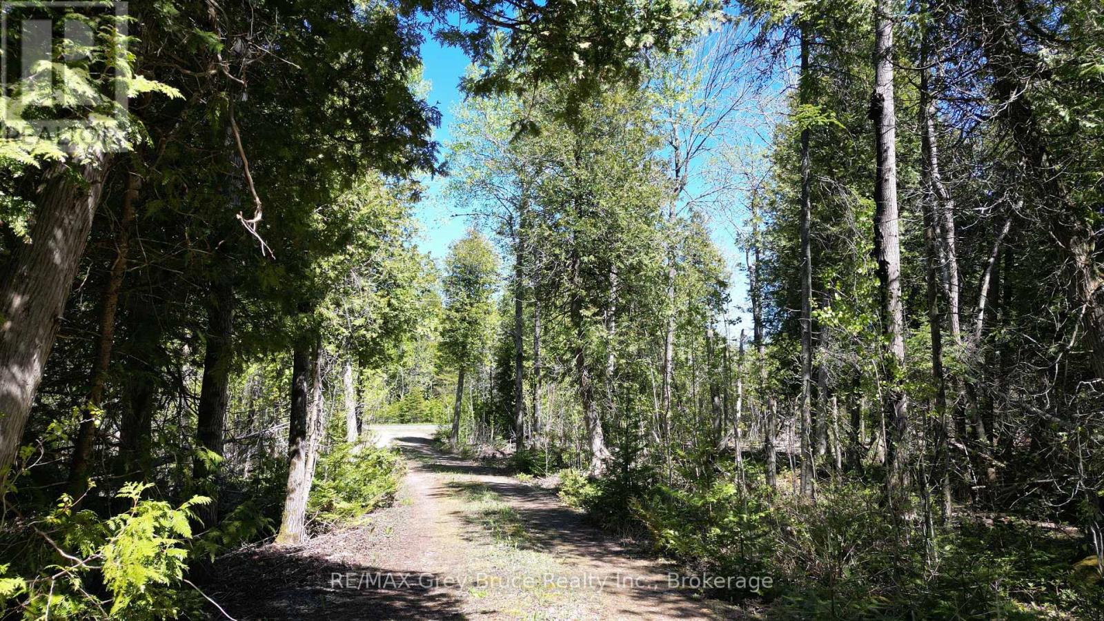 Plan 3m Walter Charman Drive, Northern Bruce Peninsula, Ontario  N0H 2M0 - Photo 49 - X12155872