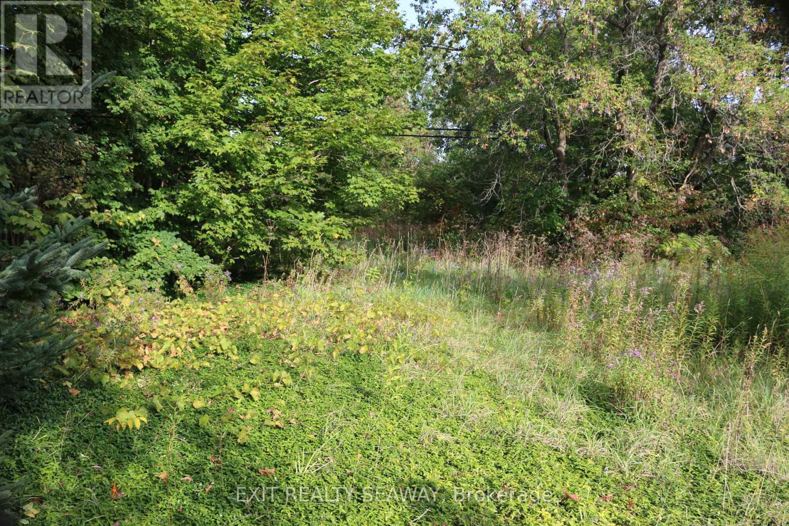 0 Dalkeith Road, North Glengarry, Ontario  K0B 1E0 - Photo 5 - X12008714