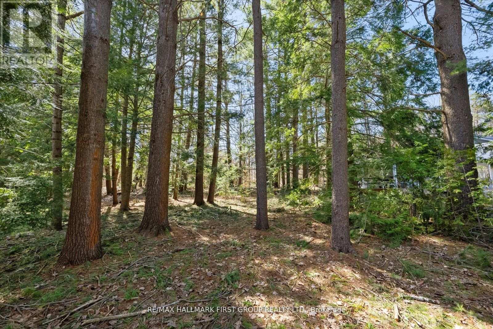 3070 Sparrow Lake Road S, Severn, Ontario  L0K 2B0 - Photo 16 - S12163661