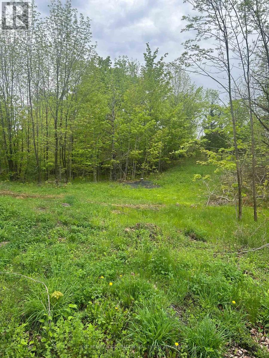 0 Bradshaw Road, Frontenac, Ontario  K0H 2V0 - Photo 3 - X12163792
