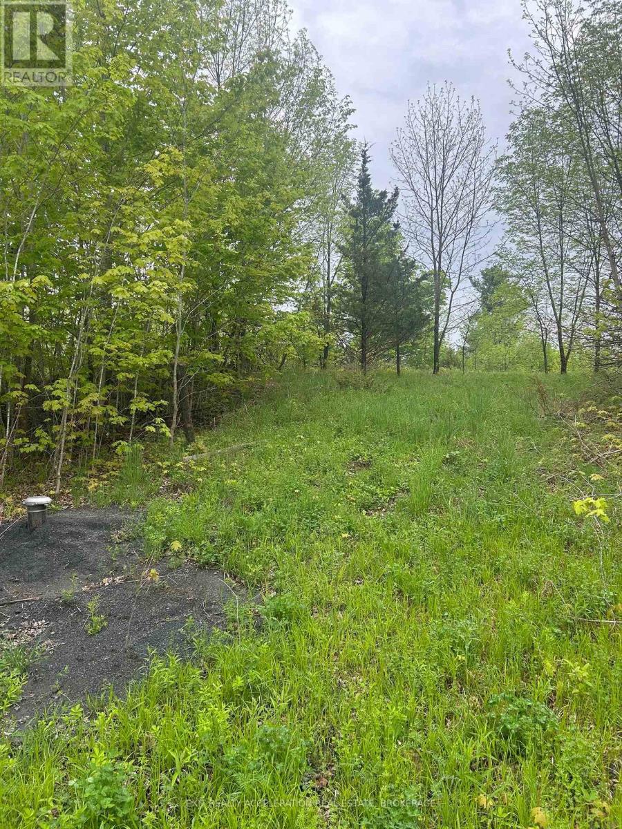 0 Bradshaw Road, Frontenac, Ontario  K0H 2V0 - Photo 4 - X12163792