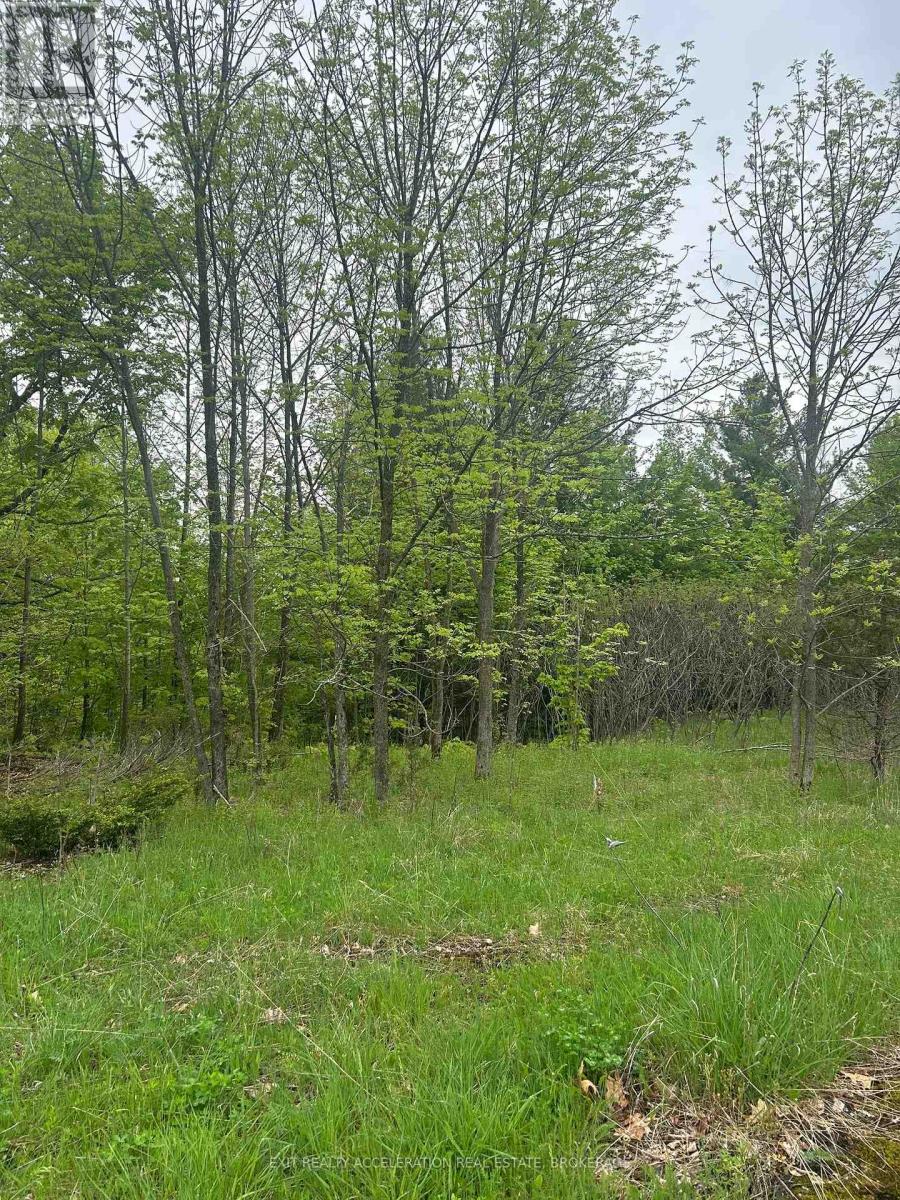 0 Bradshaw Road, Frontenac, Ontario  K0H 2V0 - Photo 6 - X12163792
