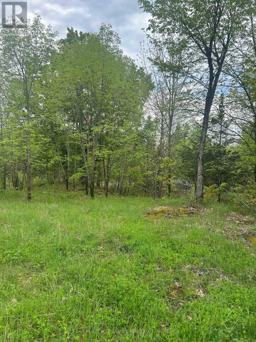 0 Bradshaw Road, Frontenac, Ontario  K0H 2V0 - Photo 7 - X12163792