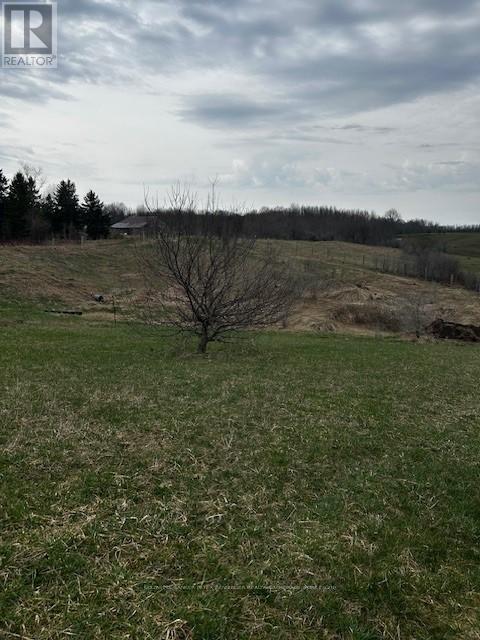 207 Concession Road 2, Saugeen Shores, Ontario  N0G 2N0 - Photo 5 - X11822807