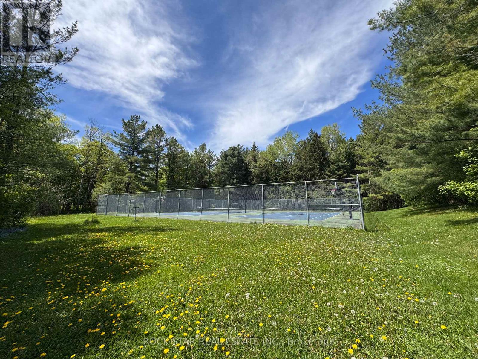 8 Pine River Crescent, Mulmur, Ontario  L9V 3H2 - Photo 40 - X12163688
