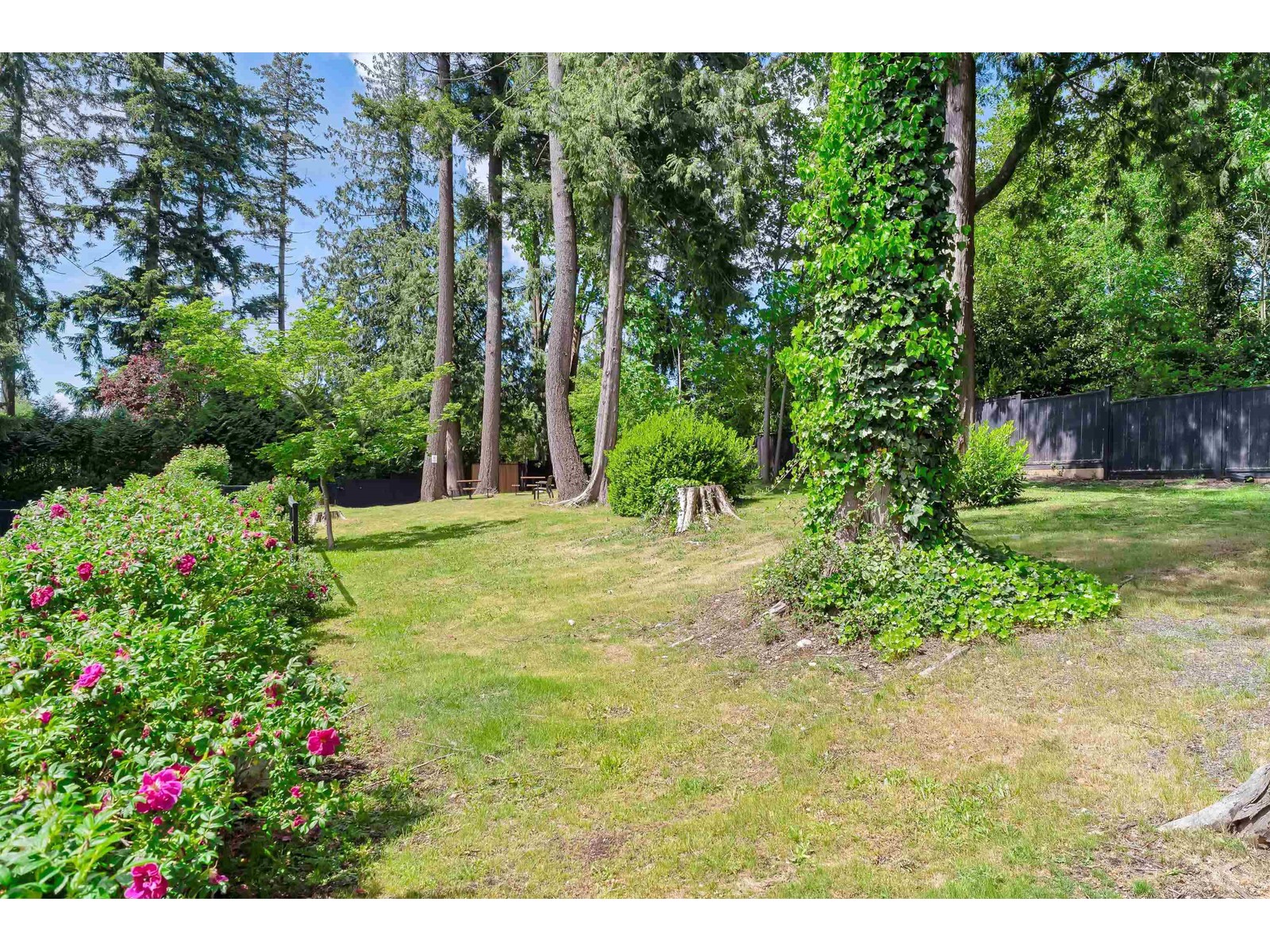 104 14555 68 Avenue, Surrey, British Columbia  V3S 2A8 - Photo 24 - R3004334