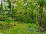 7 Moore Avenue, Tay, Ontario  L0K 2A0 - Photo 3 - S12163906