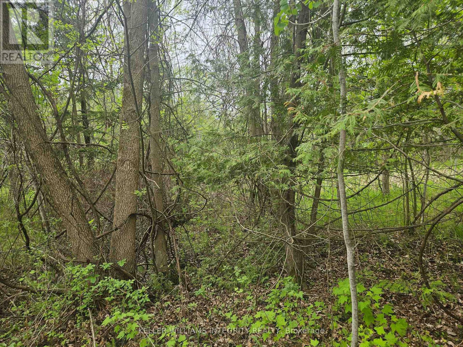 7 Grantham Road, Horton, Ontario  K7V 3Z8 - Photo 11 - X12163994