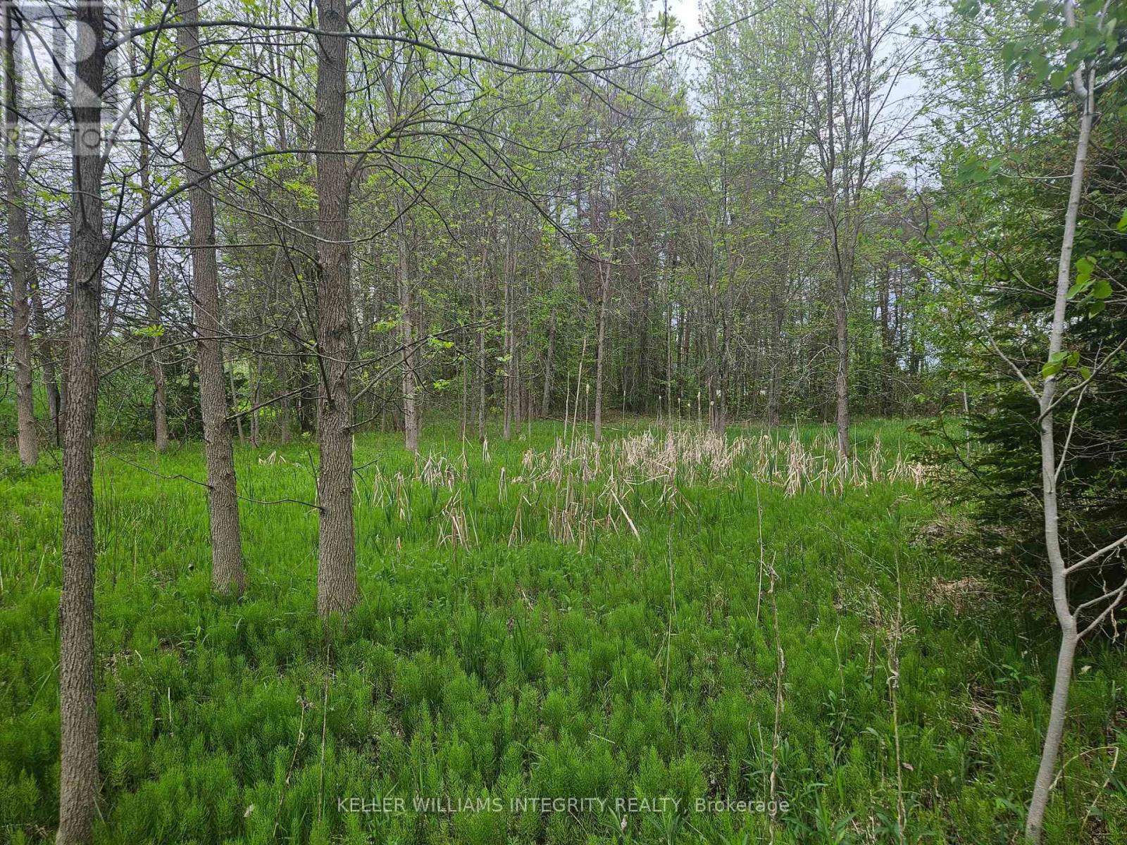7 Grantham Road, Horton, Ontario  K7V 3Z8 - Photo 4 - X12163994
