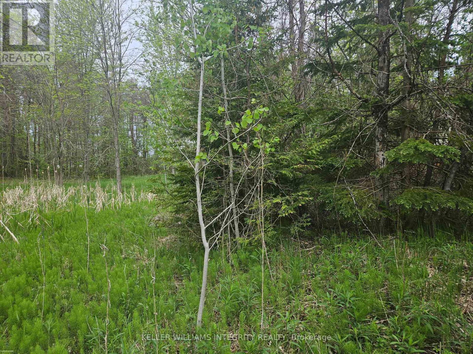 7 Grantham Road, Horton, Ontario  K7V 3Z8 - Photo 5 - X12163994