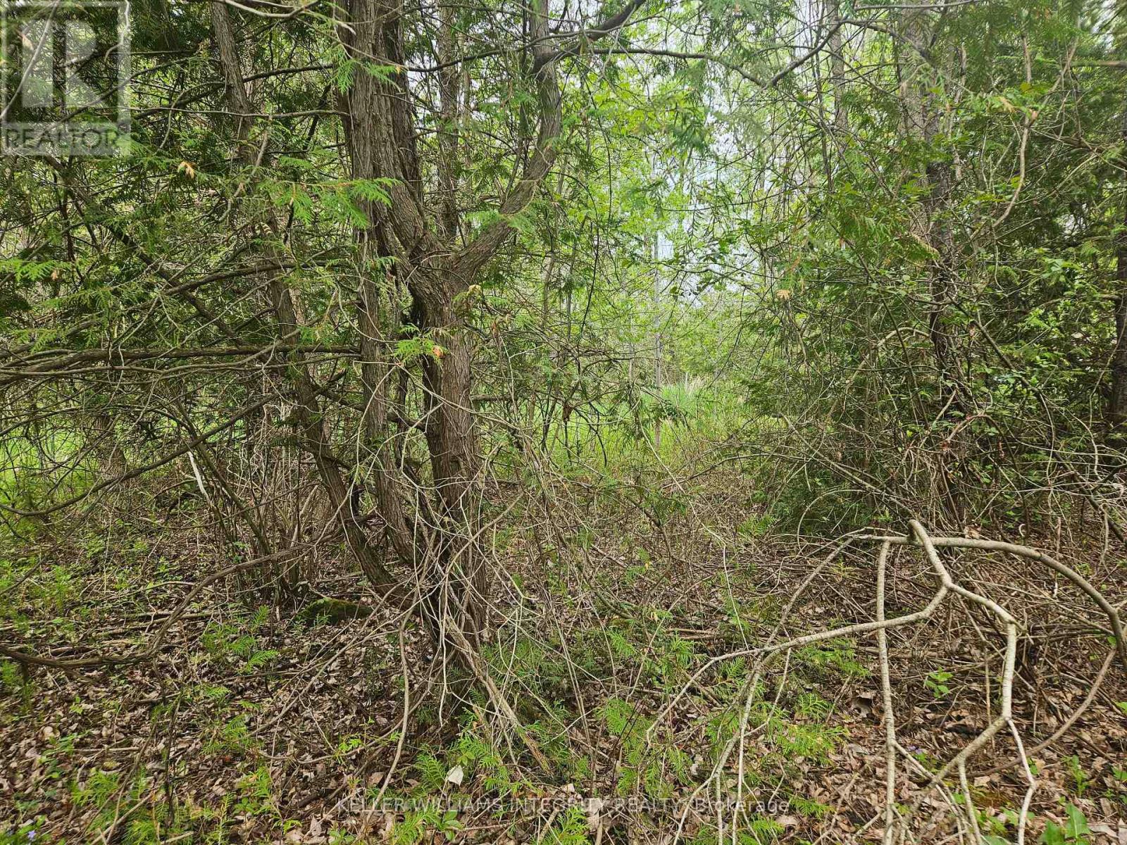 7 Grantham Road, Horton, Ontario  K7V 3Z8 - Photo 6 - X12163994