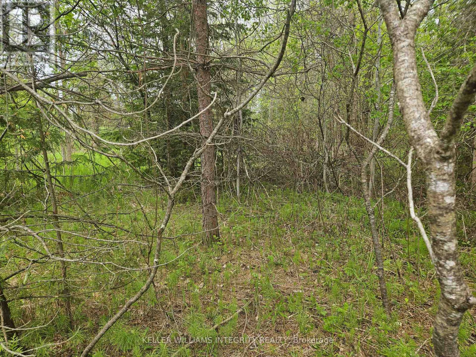7 Grantham Road, Horton, Ontario  K7V 3Z8 - Photo 7 - X12163994