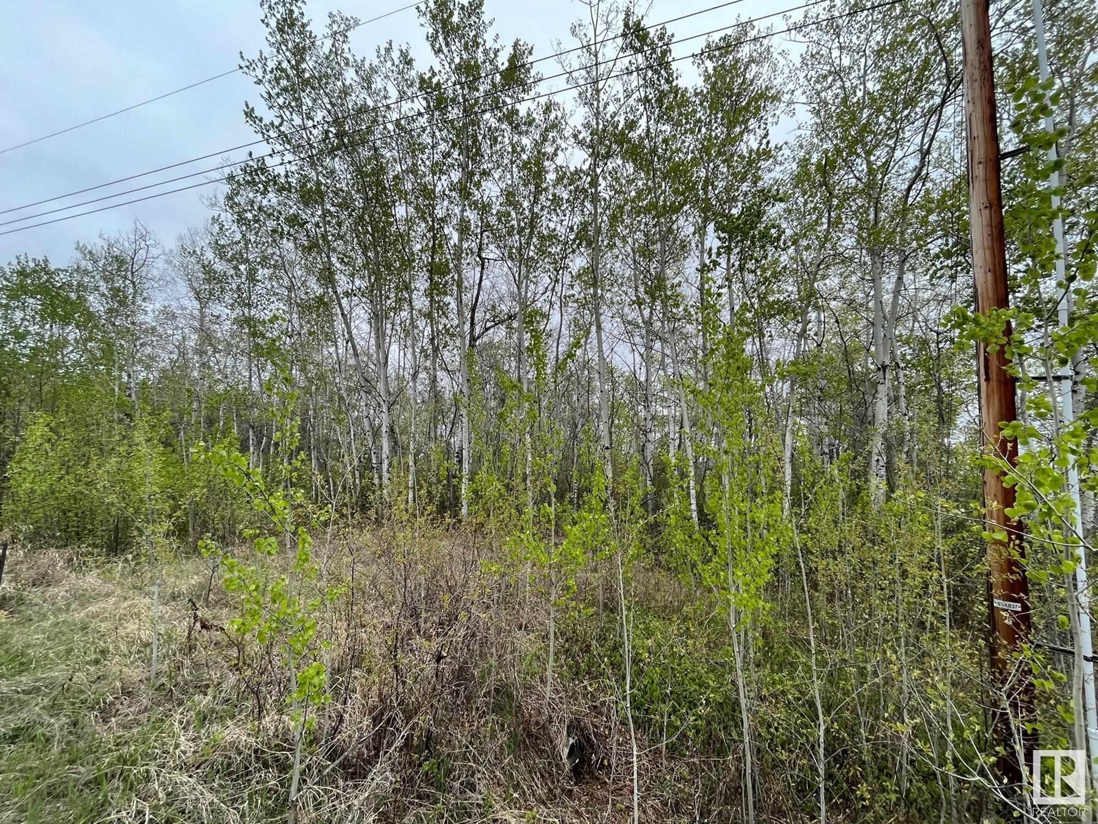 #28 60503 Rge Rd 470, Rural Bonnyville M.d., Alberta  T9N 2J6 - Photo 5 - E4437665