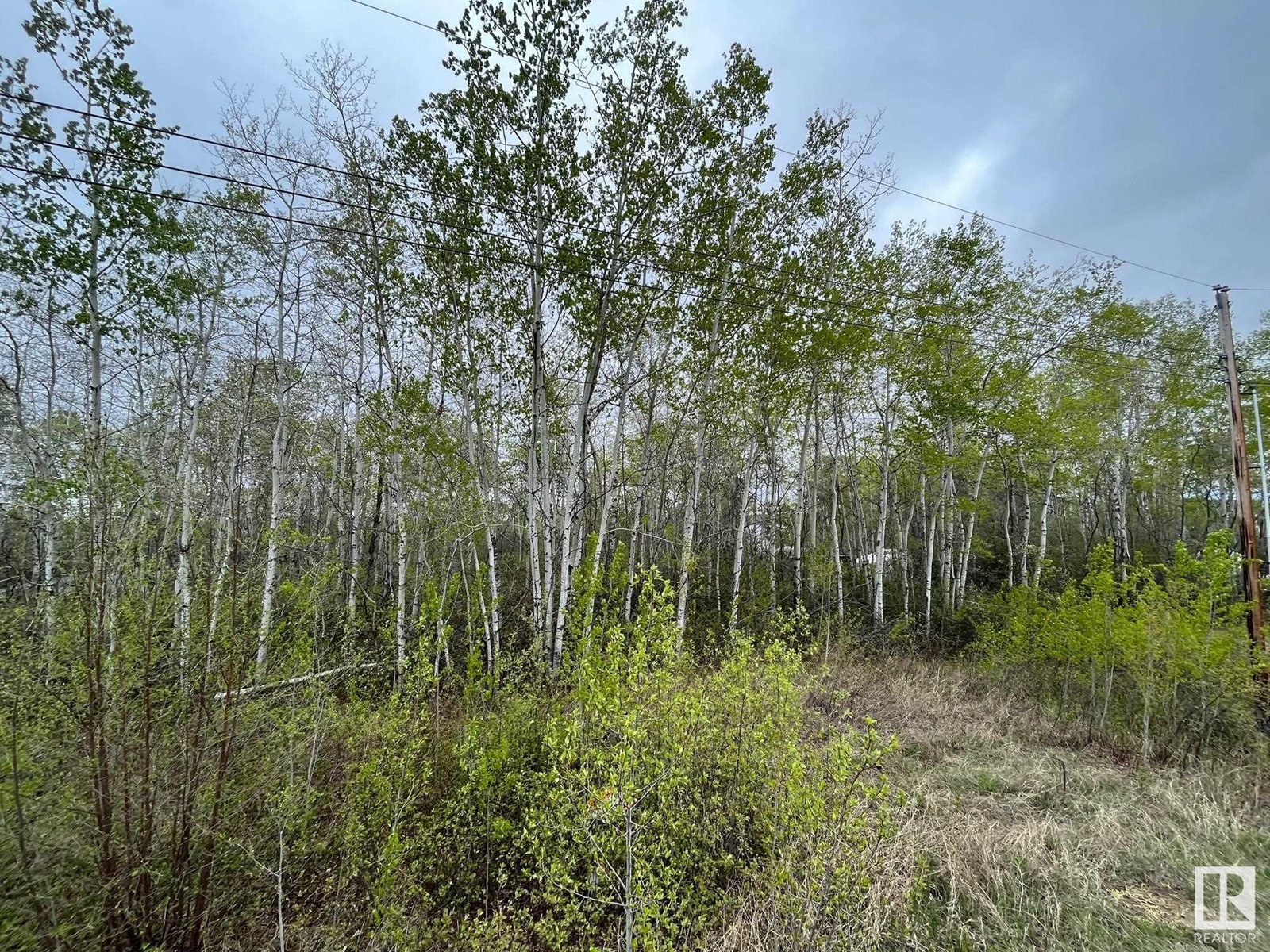 #28 60503 Rge Rd 470, Rural Bonnyville M.d., Alberta  T9N 2J6 - Photo 4 - E4437665