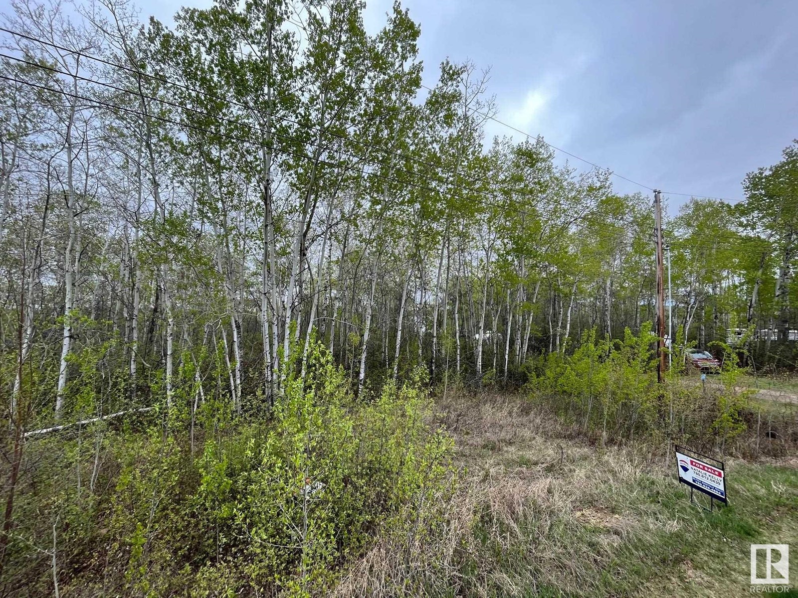 #28 60503 Rge Rd 470, Rural Bonnyville M.d., Alberta  T9N 2J6 - Photo 3 - E4437665