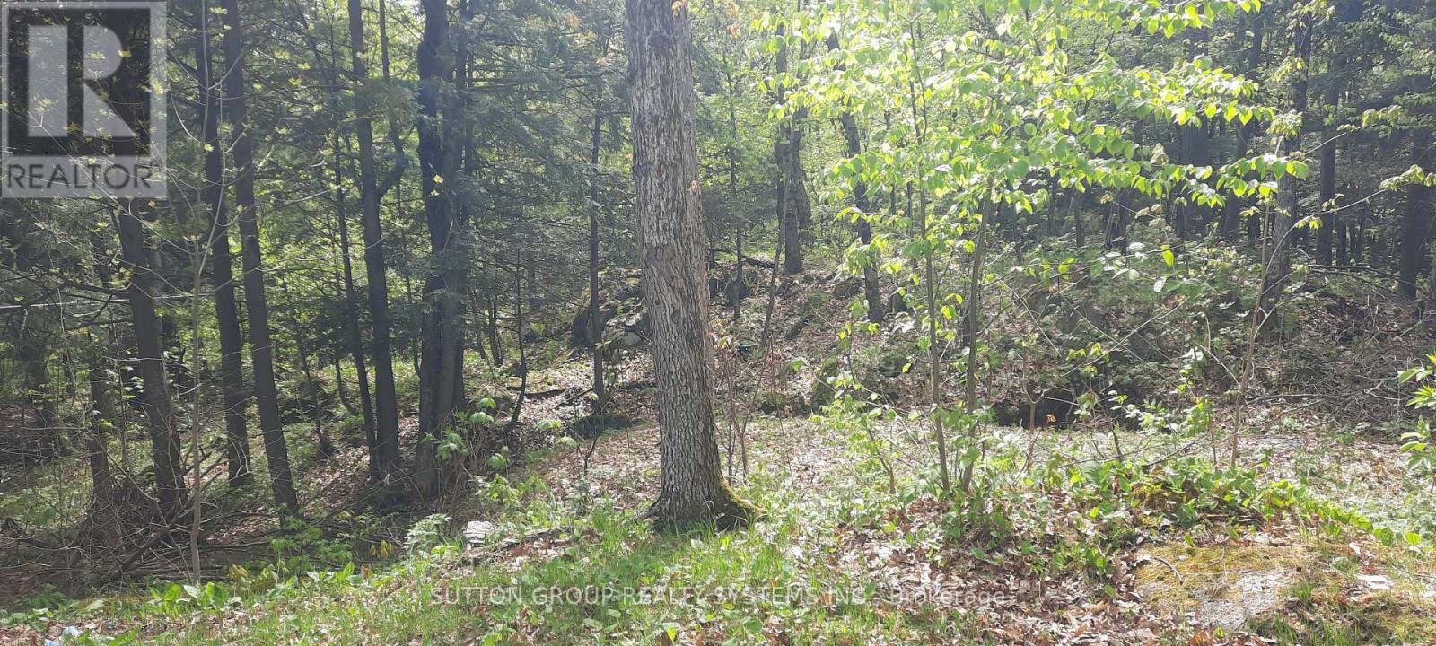 234 Healey Lake Water, The Archipelago, Ontario  P0C 1H0 - Photo 17 - X12164113