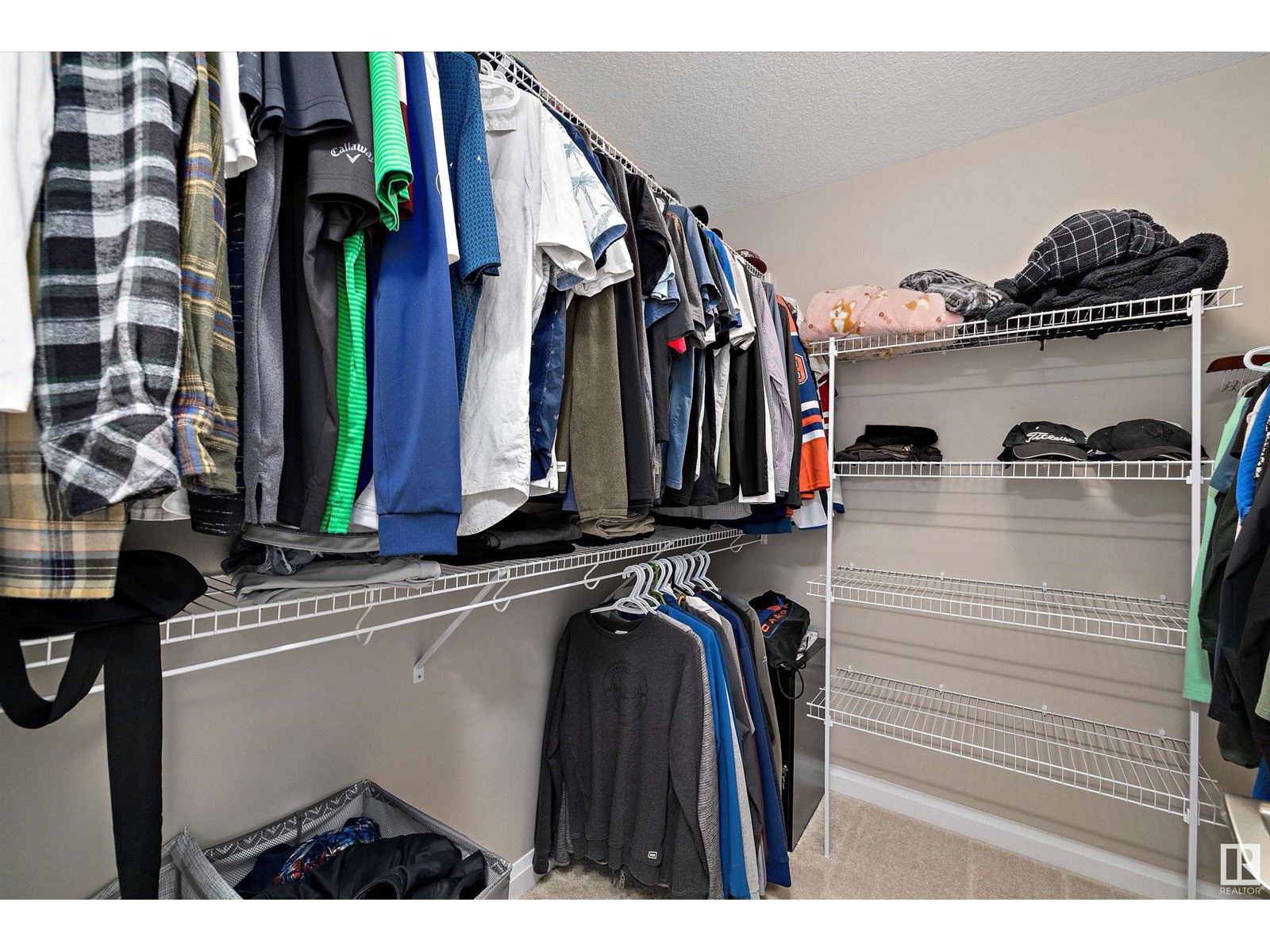 4723 Crabapple Ru Sw, Edmonton, Alberta  T8X 0Y7 - Photo 27 - E4437624