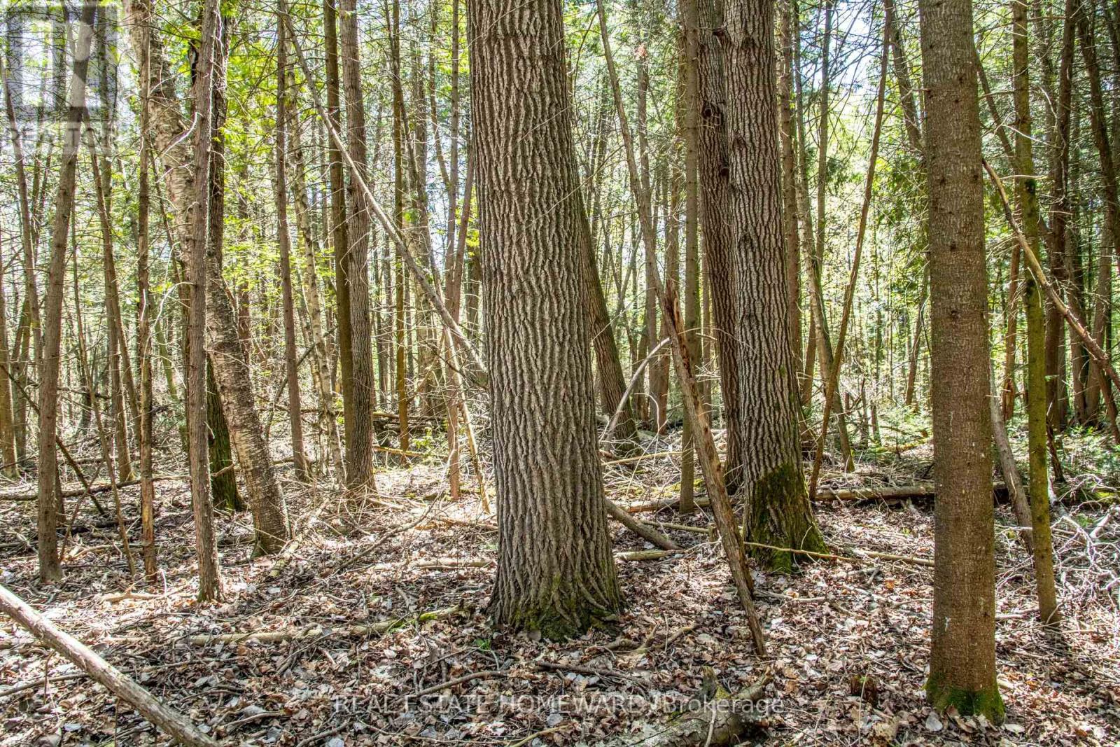 P/l35 Con 5 Bull Road, Alnwick/haldimand, Ontario  K0K 1C0 - Photo 21 - X12164241