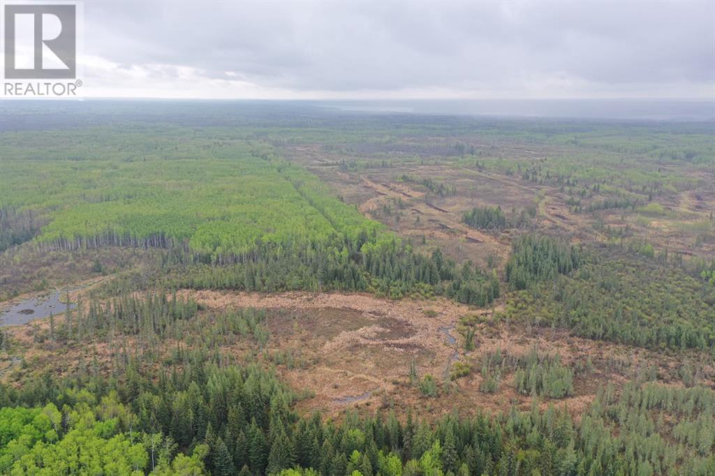 Off Rr 61a, La Corey, Alberta  T0A 2E0 - Photo 13 - A2202764