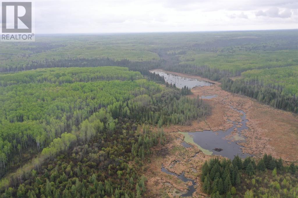 Off Rr 61a, La Corey, Alberta  T0A 2E0 - Photo 17 - A2202764