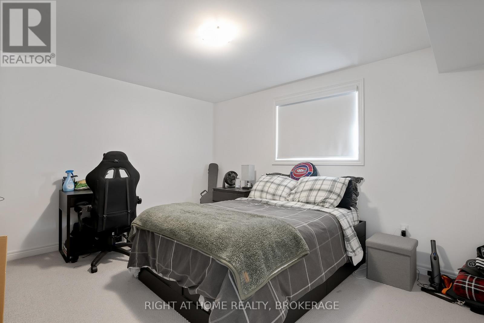 19 Robarts Drive, Hamilton, Ontario  L9K 0H5 - Photo 41 - X12164330