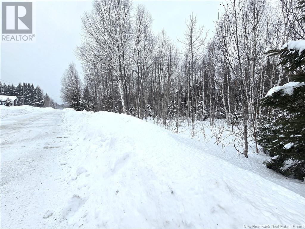 4e Avenue, Clair, New Brunswick  E7A 2B2 - Photo 8 - NB113604