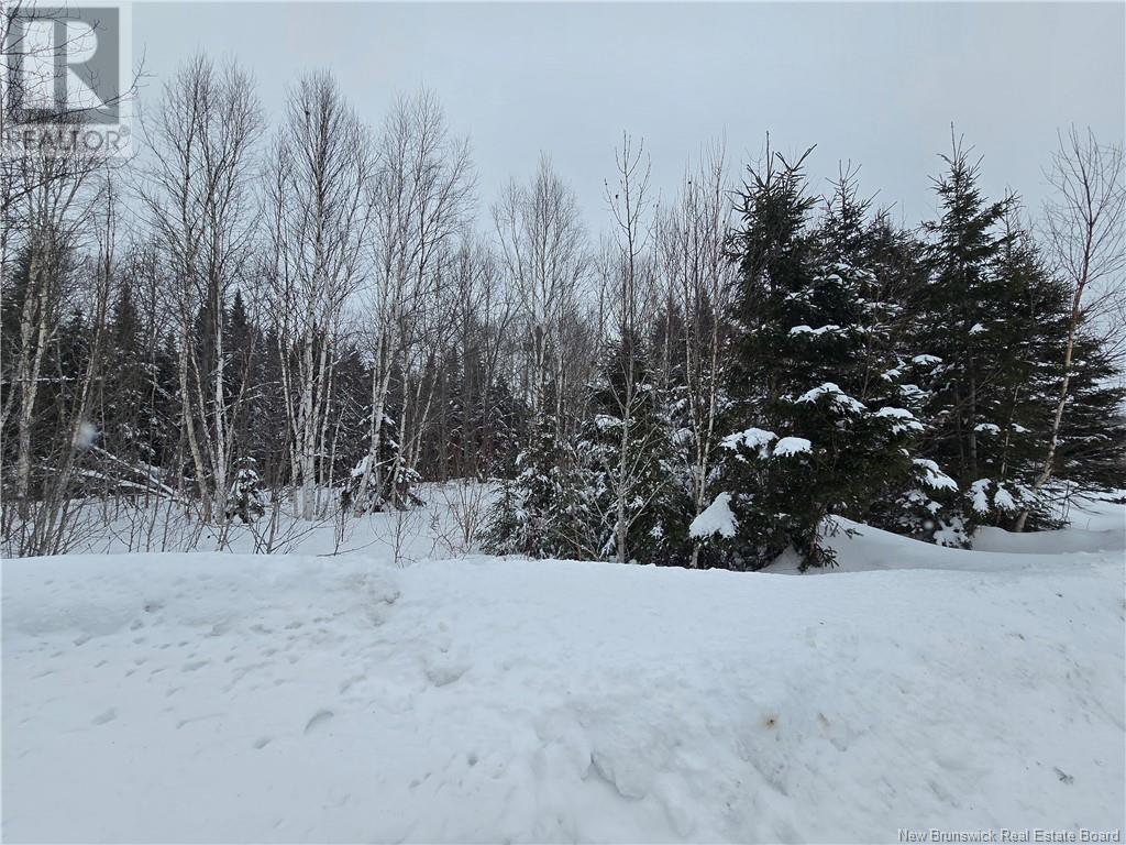 4e Avenue, Clair, New Brunswick  E7A 2B2 - Photo 12 - NB113604