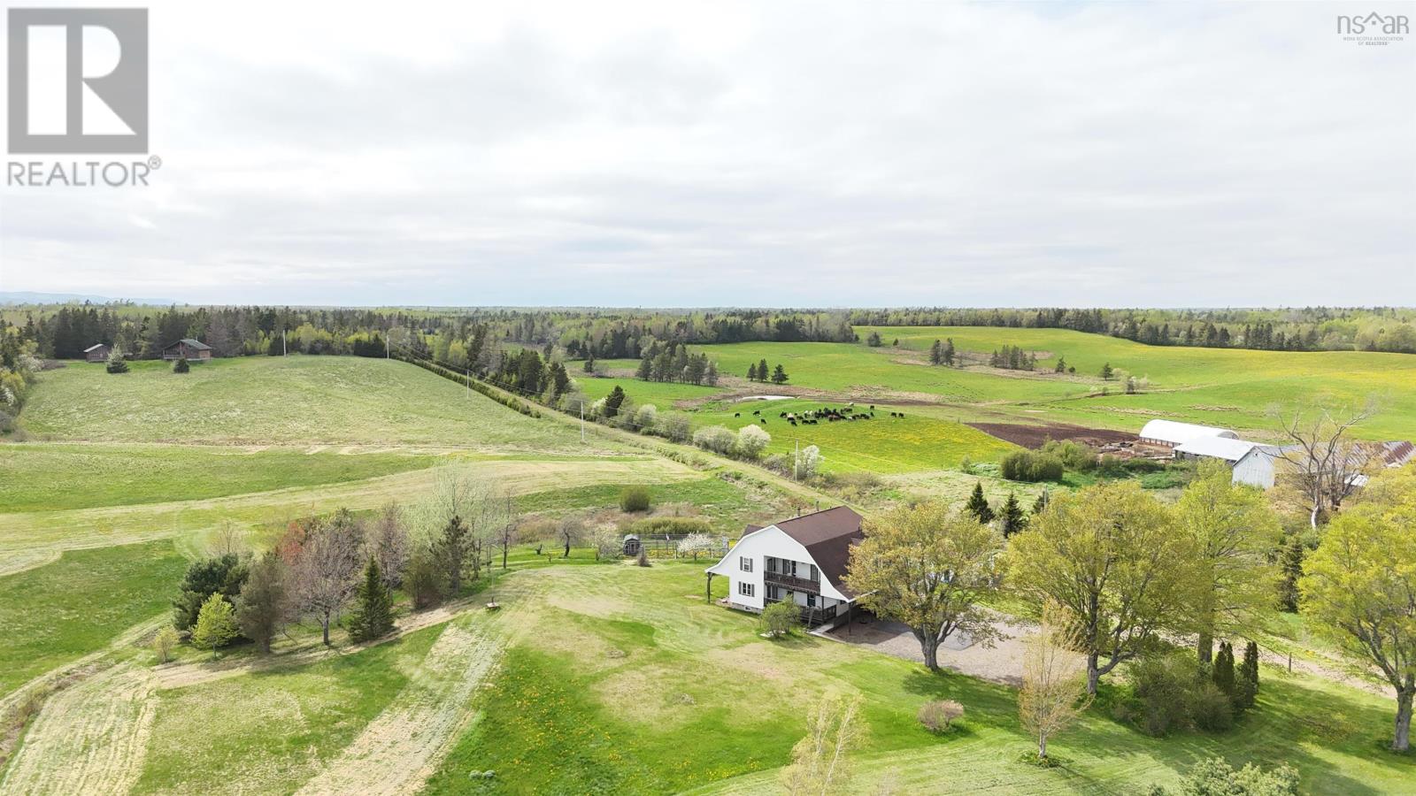 8627 311 Highway, Balfron, Nova Scotia  B0K 1V0 - Photo 4 - 202511791