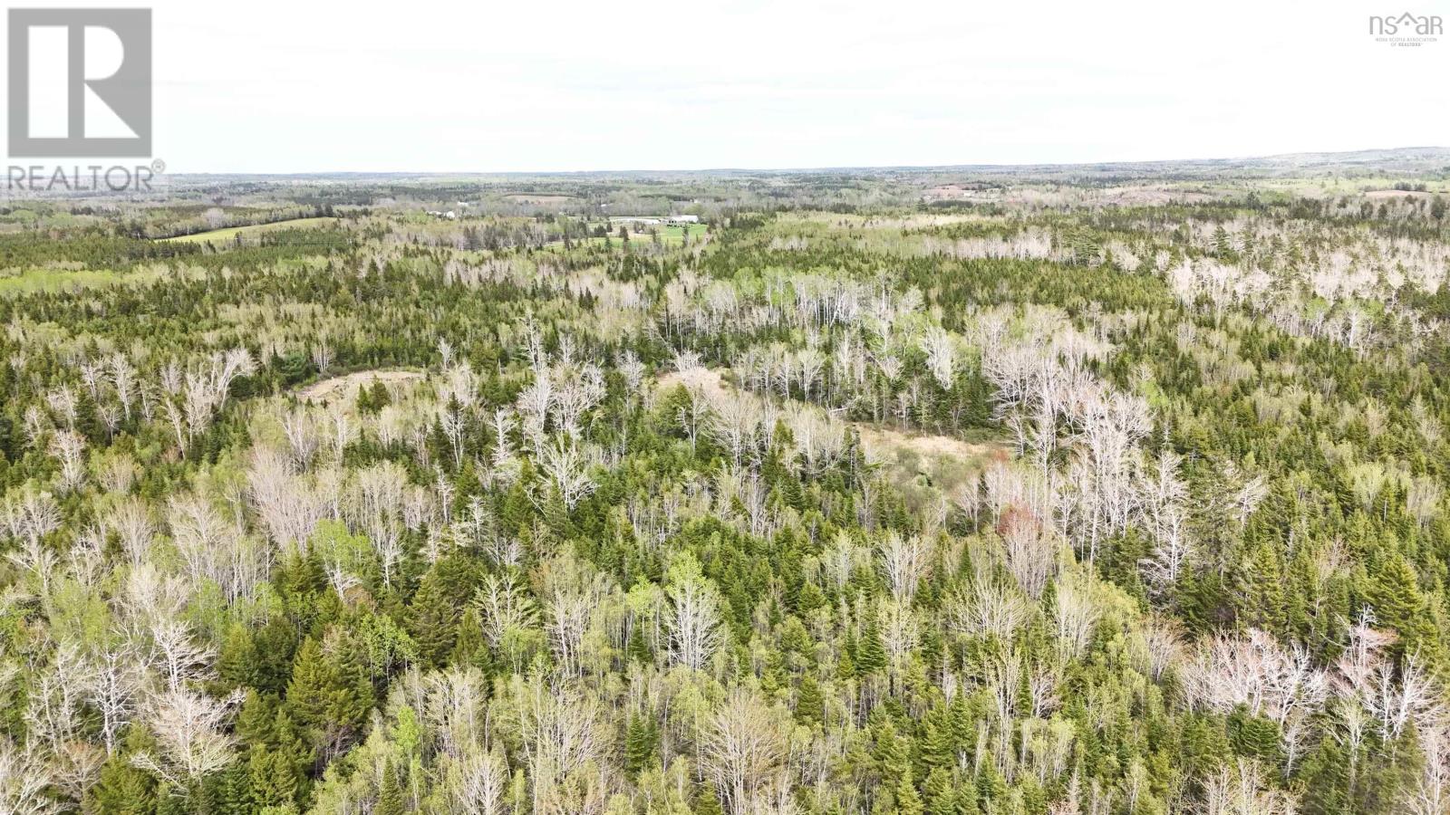 8627 311 Highway, Balfron, Nova Scotia  B0K 1V0 - Photo 46 - 202511791