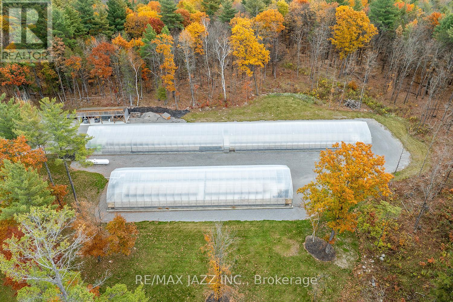 19 Ledge Road, Trent Lakes, Ontario  K0M 1A0 - Photo 7 - X11931967