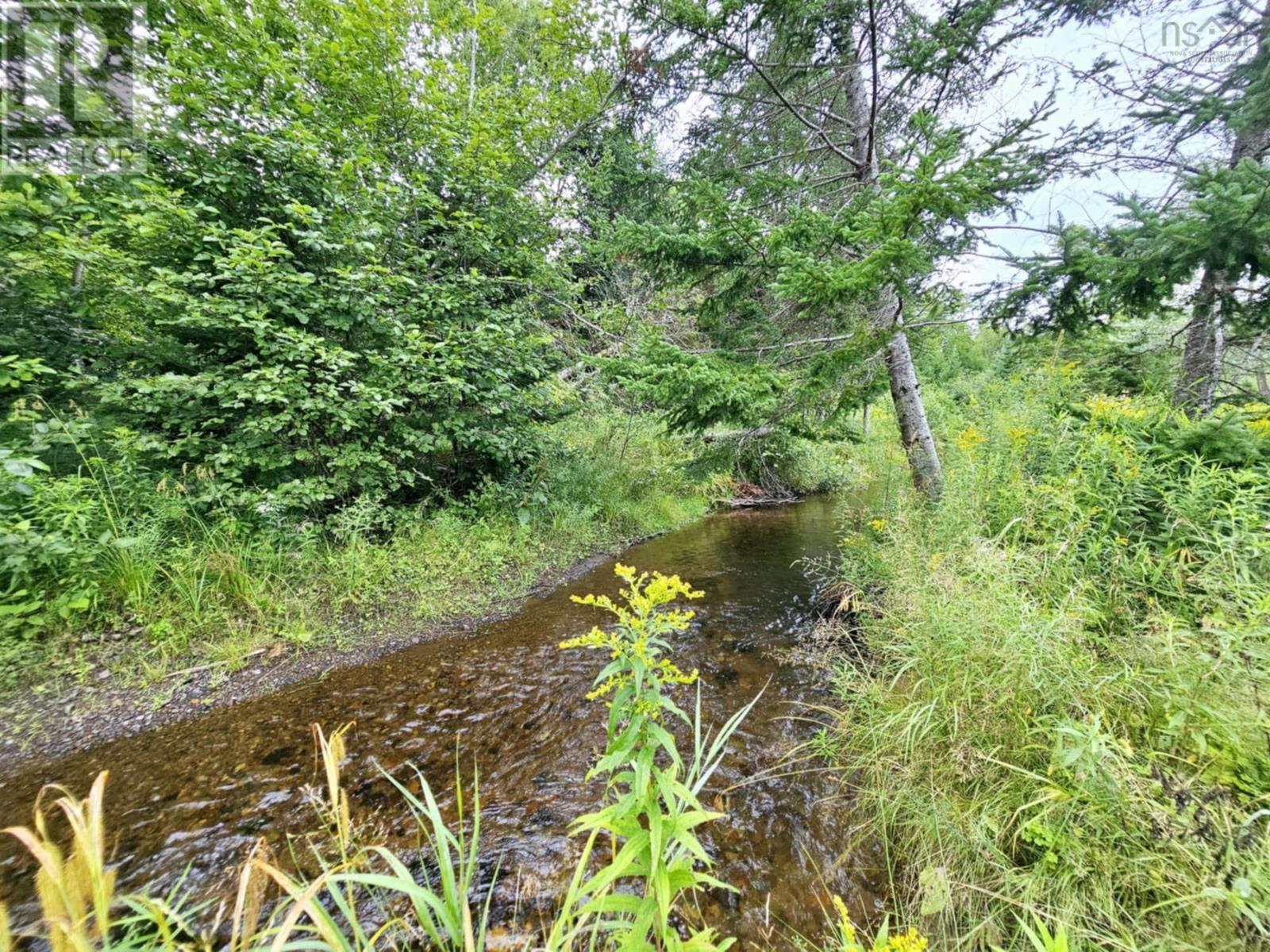 1522 Matheson Brook, Tatamagouche, Nova Scotia  B0K 1V0 - Photo 11 - 202502386