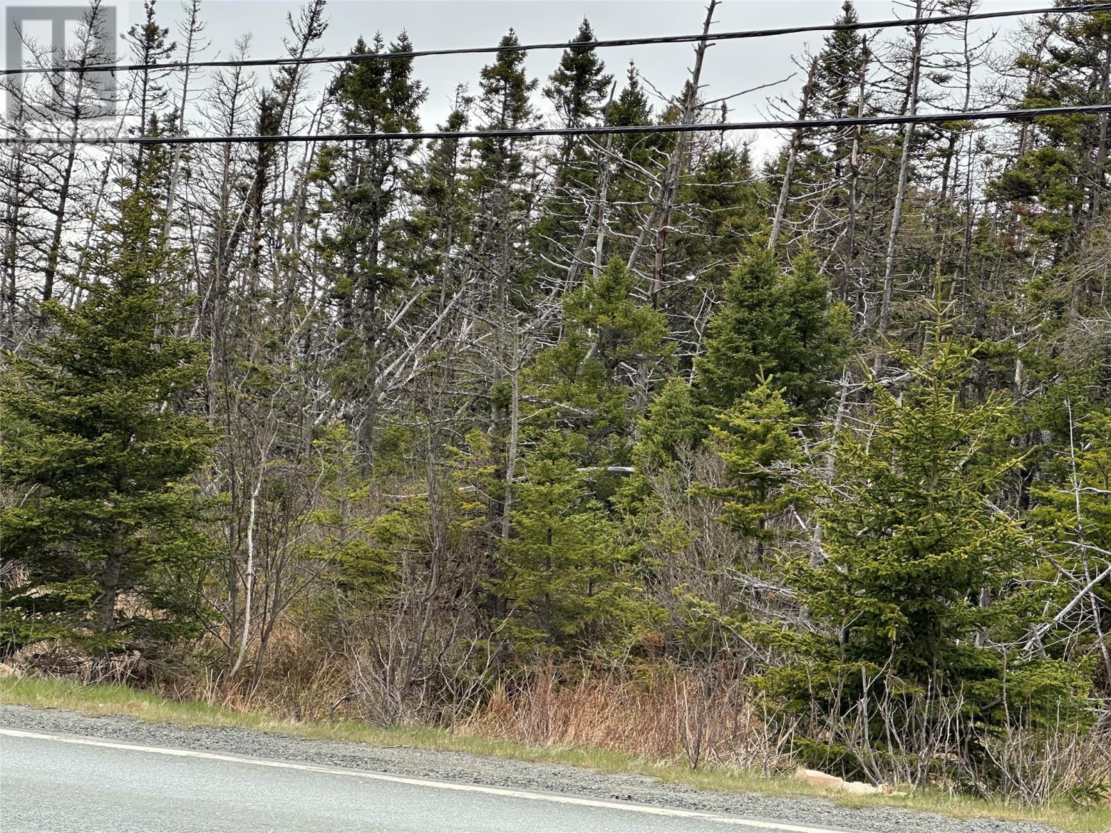138 - 146 Conception Bay Highway, Holyrood, Newfoundland & Labrador  A0A 2R0 - Photo 26 - 1285268