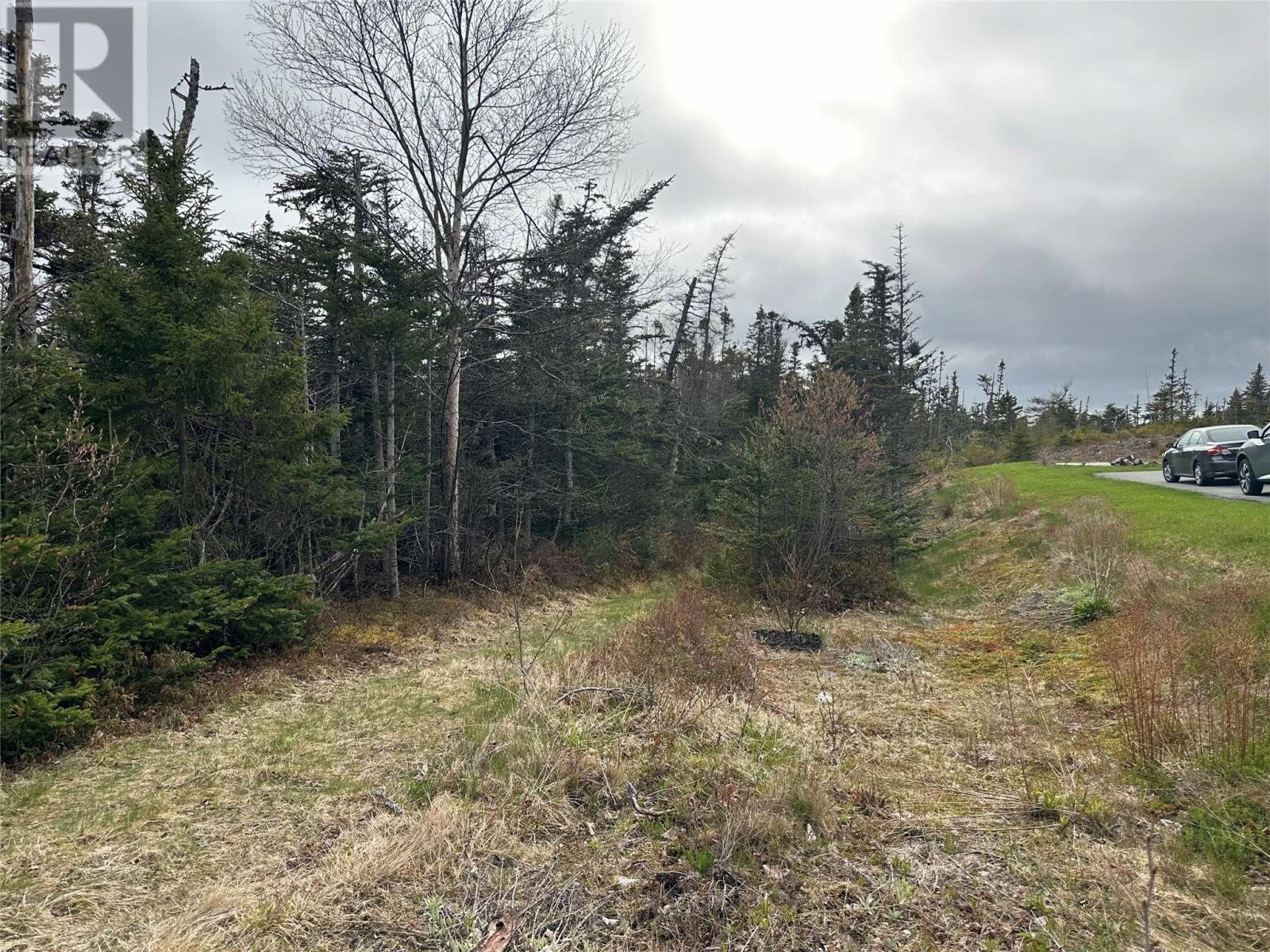 138 - 146 Conception Bay Highway, Holyrood, Newfoundland & Labrador  A0A 2R0 - Photo 3 - 1285268