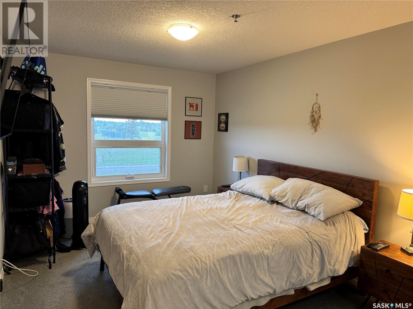 221 915 Kristjanson Road, Saskatoon, Saskatchewan  S7S 0B1 - Photo 13 - SK006722