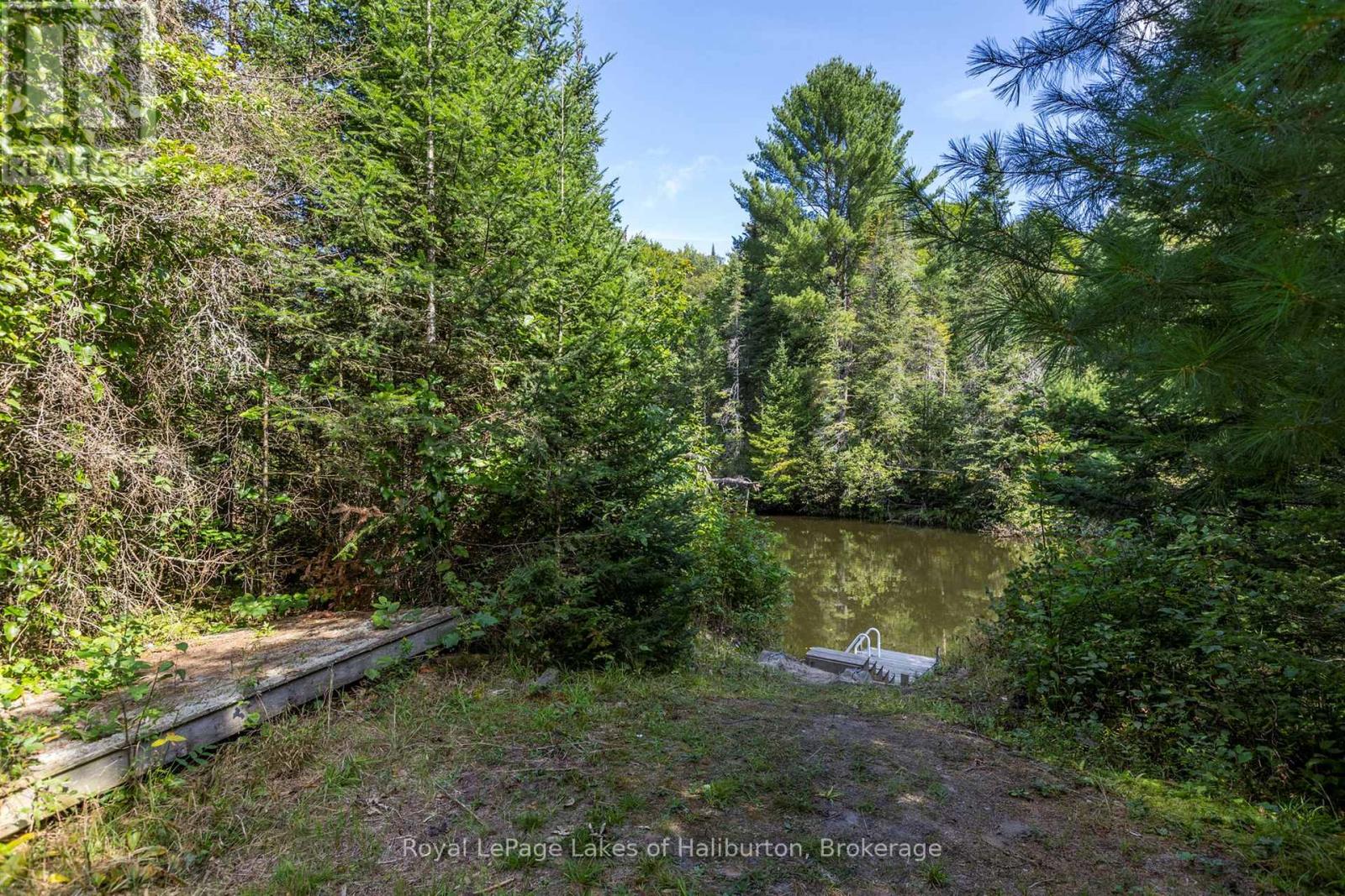 1880 Boldts Lane, Minden Hills, Ontario  K0M 2A1 - Photo 12 - X12164628