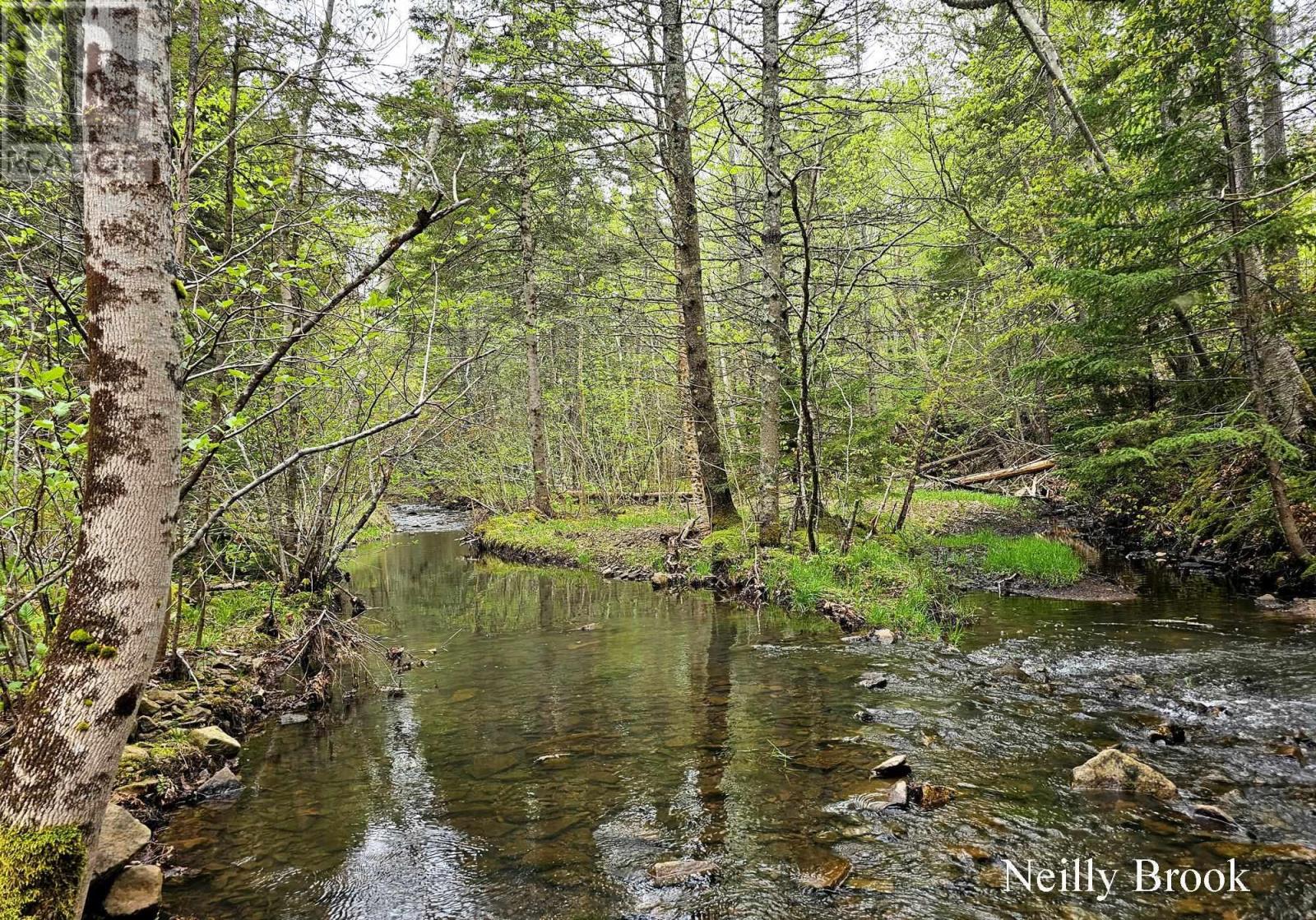 12812 Shore Road, Moshers Corner, Nova Scotia  B0S 1P0 - Photo 9 - 202511835