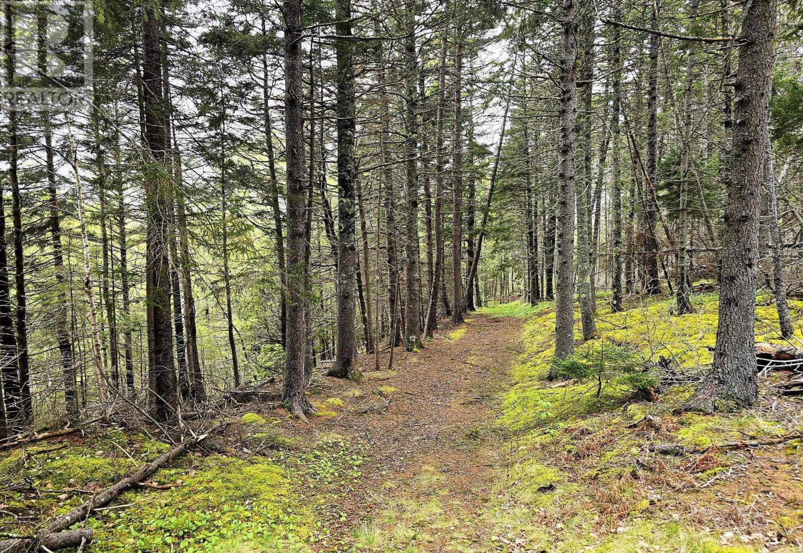 12812 Shore Road, Moshers Corner, Nova Scotia  B0S 1P0 - Photo 8 - 202511835