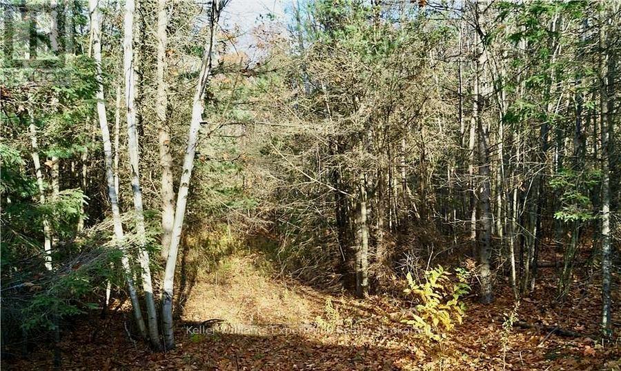 Pl 20 Concession 18 W, Tiny, Ontario  L9M 0K2 - Photo 6 - S12161532