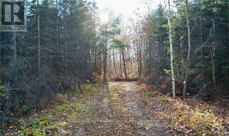 Pl 20 Concession 18 W, Tiny, Ontario  L9M 0K2 - Photo 9 - S12161532