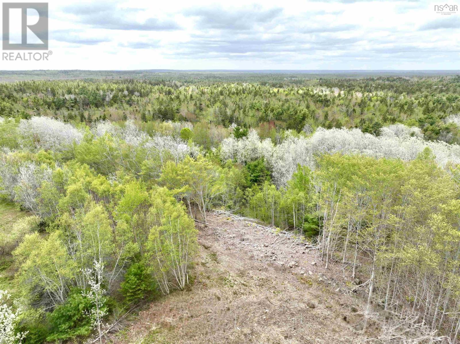 Lot 15 Camperdown School Road, Middlewood, Nova Scotia  B4V 6H8 - Photo 11 - 202511840