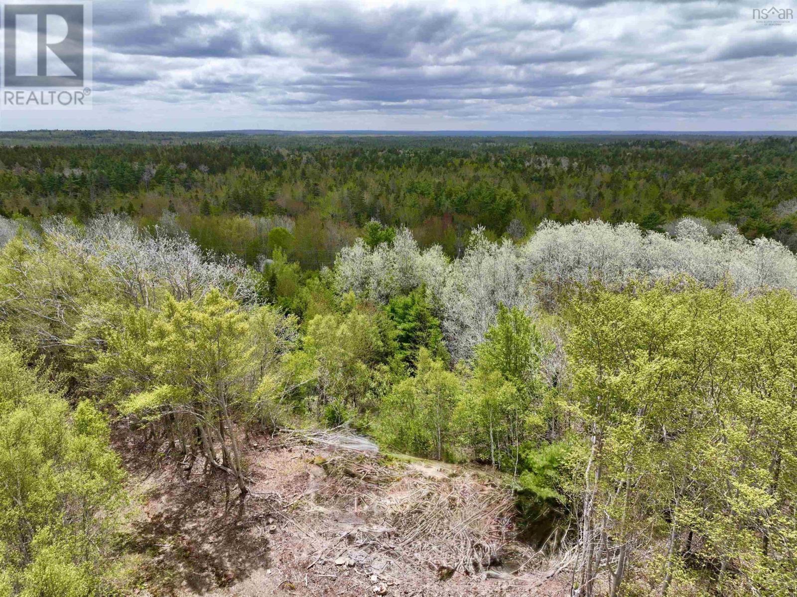 Lot 15 Camperdown School Road, Middlewood, Nova Scotia  B4V 6H8 - Photo 8 - 202511840