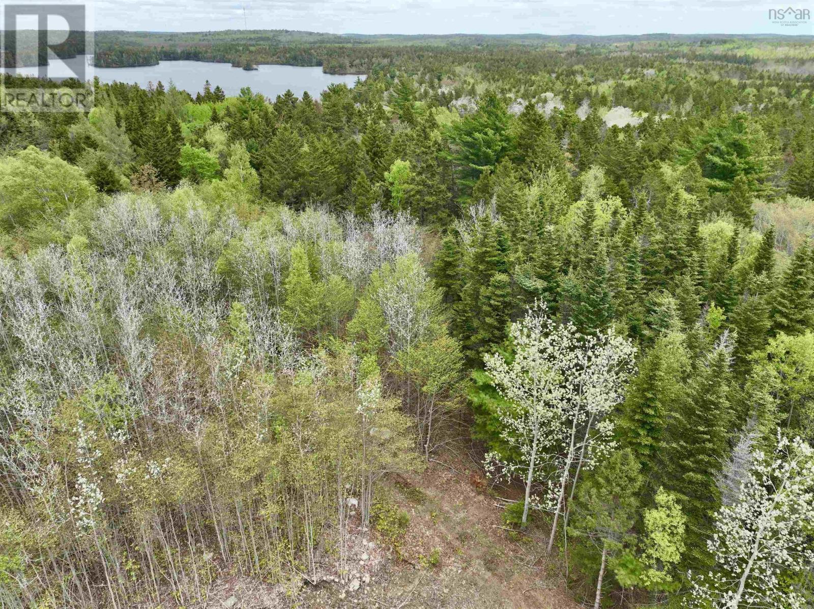 Lot 15 Camperdown School Road, Middlewood, Nova Scotia  B4V 6H8 - Photo 4 - 202511840