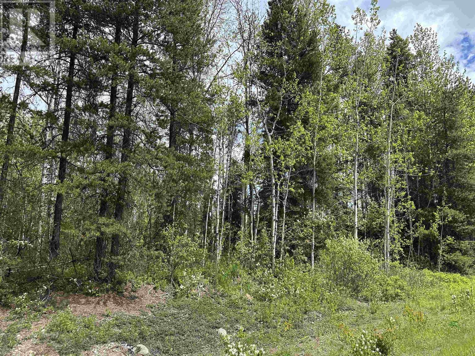 Lot 1 Alder Road, Smithers, British Columbia  V0J 2N1 - Photo 3 - R2966511