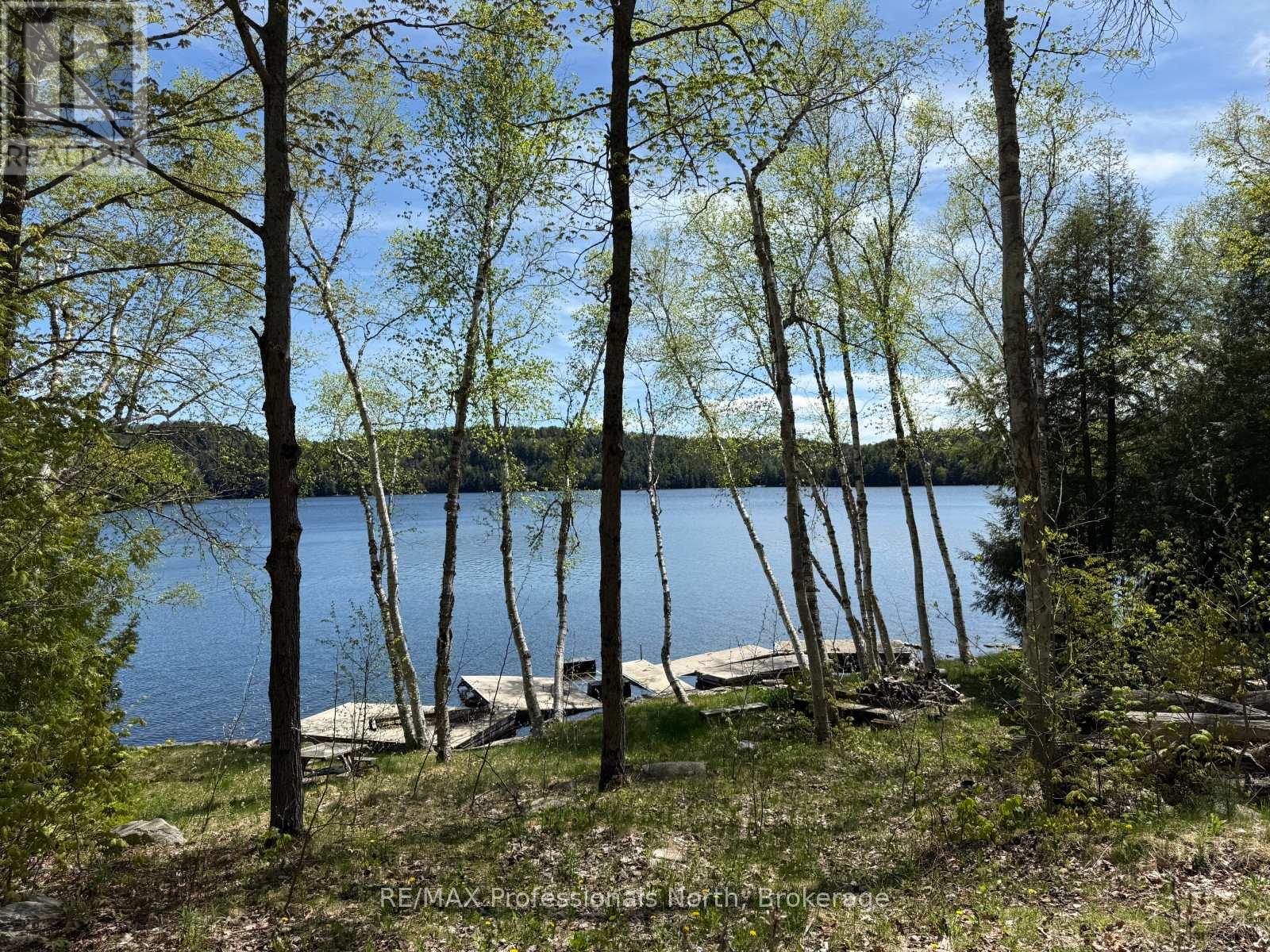 2612 Wilkinson Road, Dysart Et Al, Ontario  K0M 1S0 - Photo 5 - X12164739