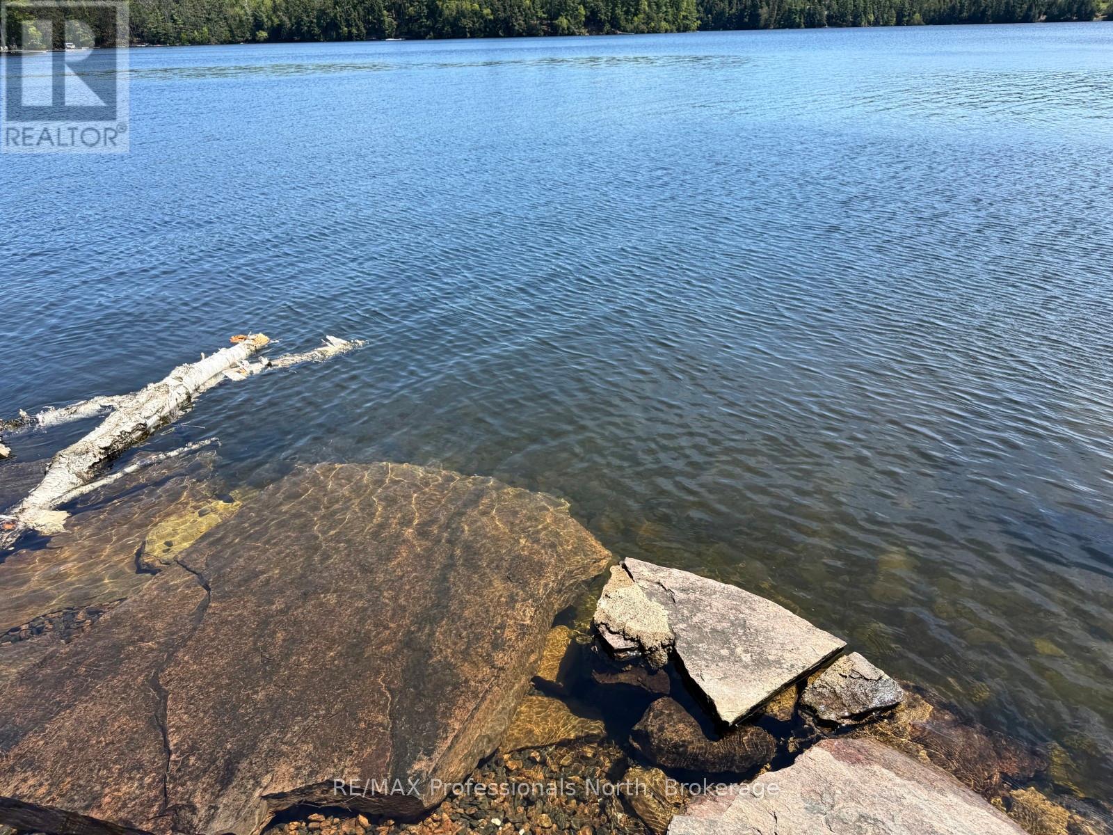 2612 Wilkinson Road, Dysart Et Al, Ontario  K0M 1S0 - Photo 9 - X12164739