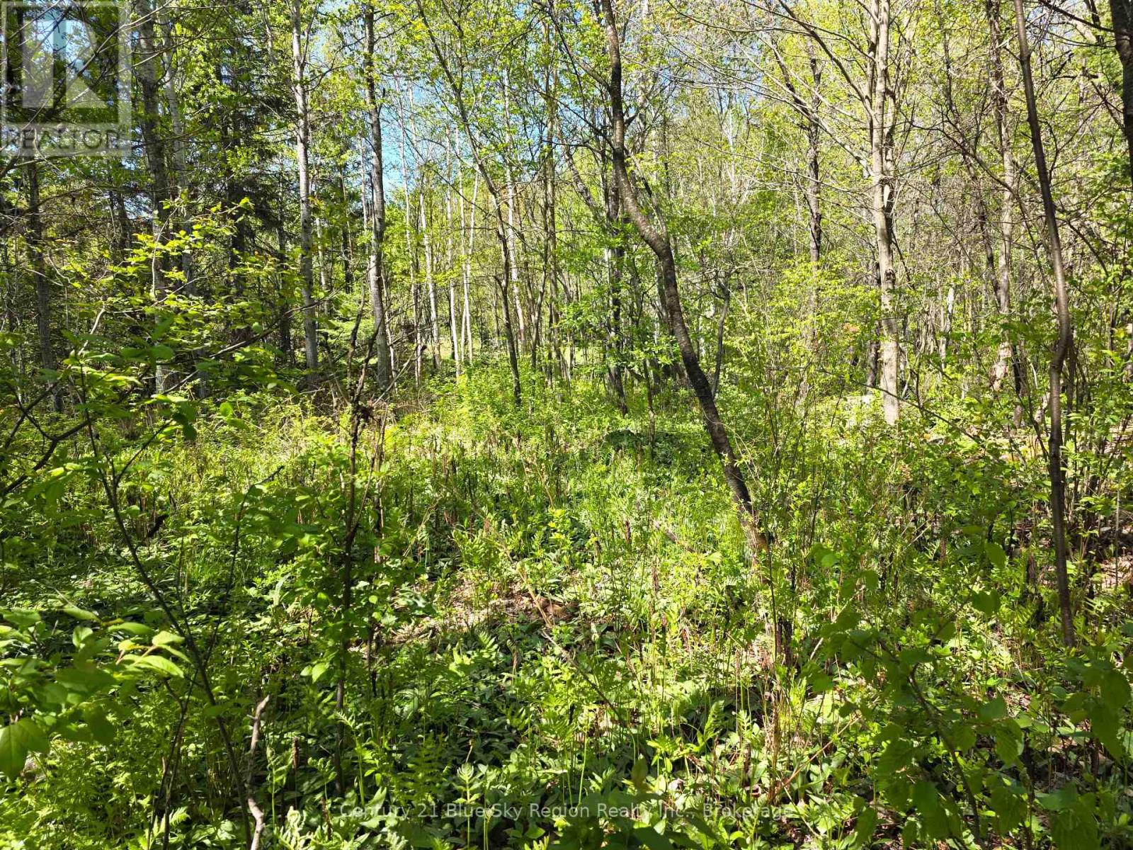 125 Larocque Road, North Bay, Ontario  P1B 8G3 - Photo 13 - X12161470
