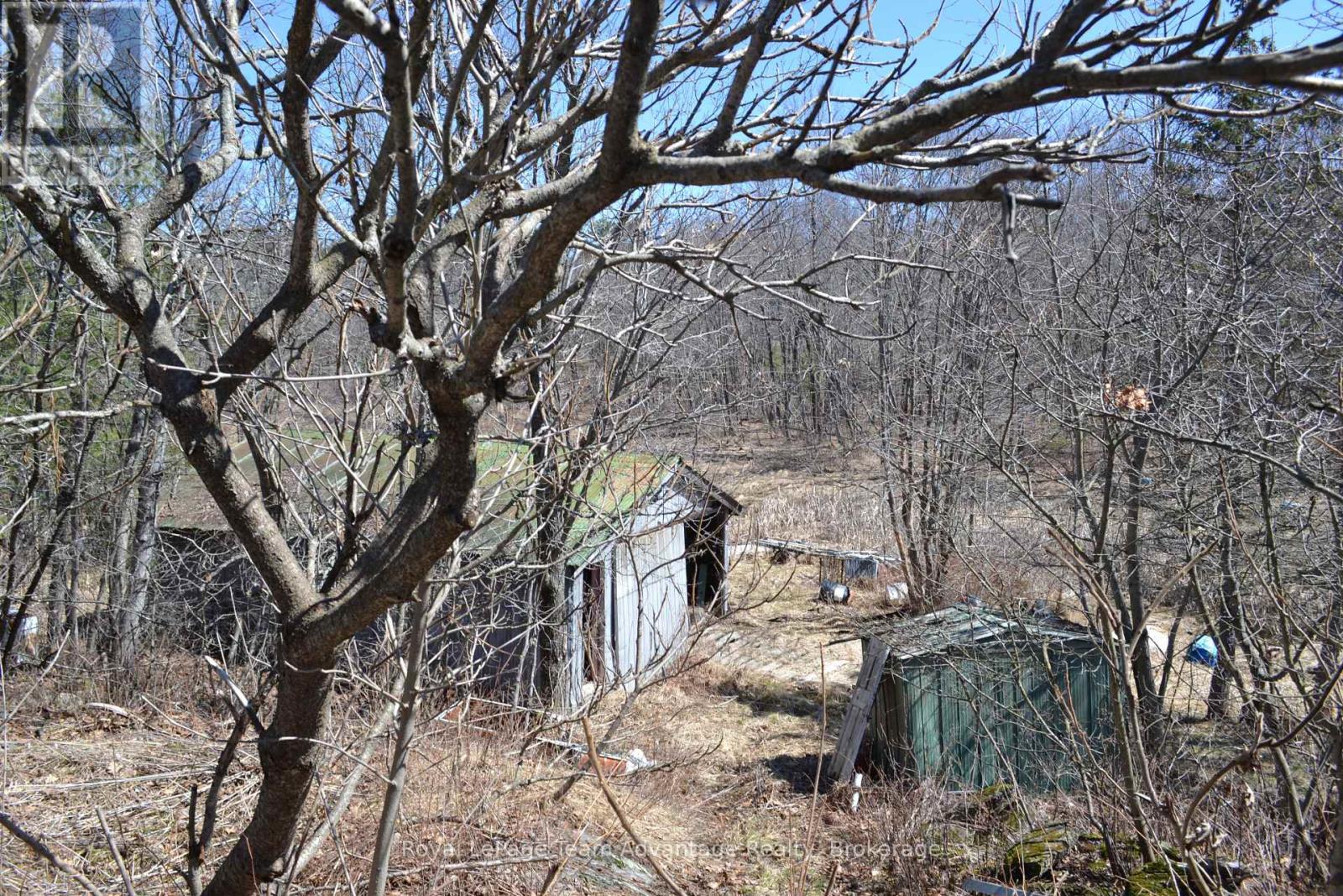 25 A 27 Island, The Archipelago, Ontario  P0G 1K0 - Photo 15 - X12131924