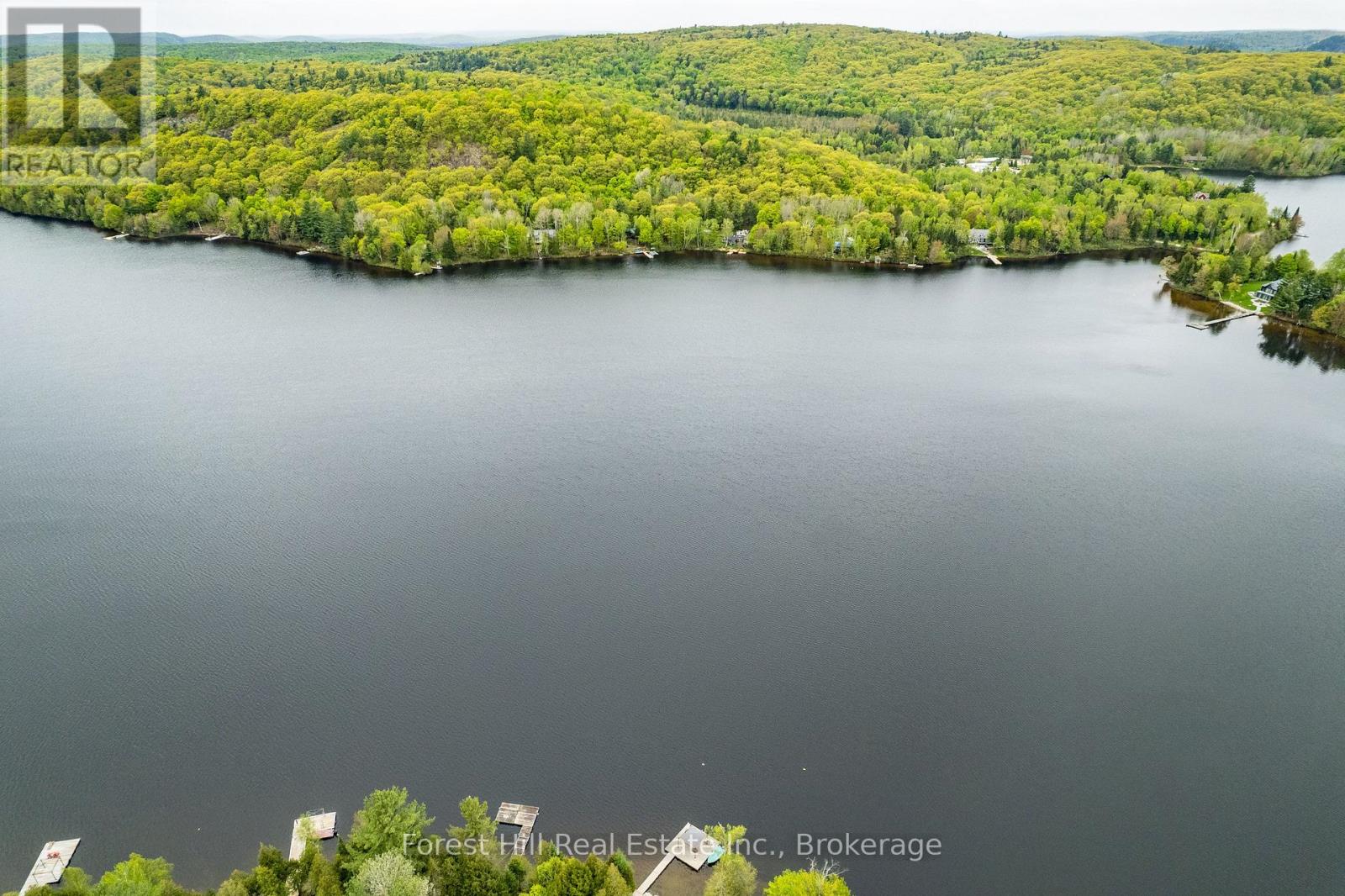 1175 Paint Lake Road, Lake Of Bays, Ontario  P0A 1E0 - Photo 29 - X12164874