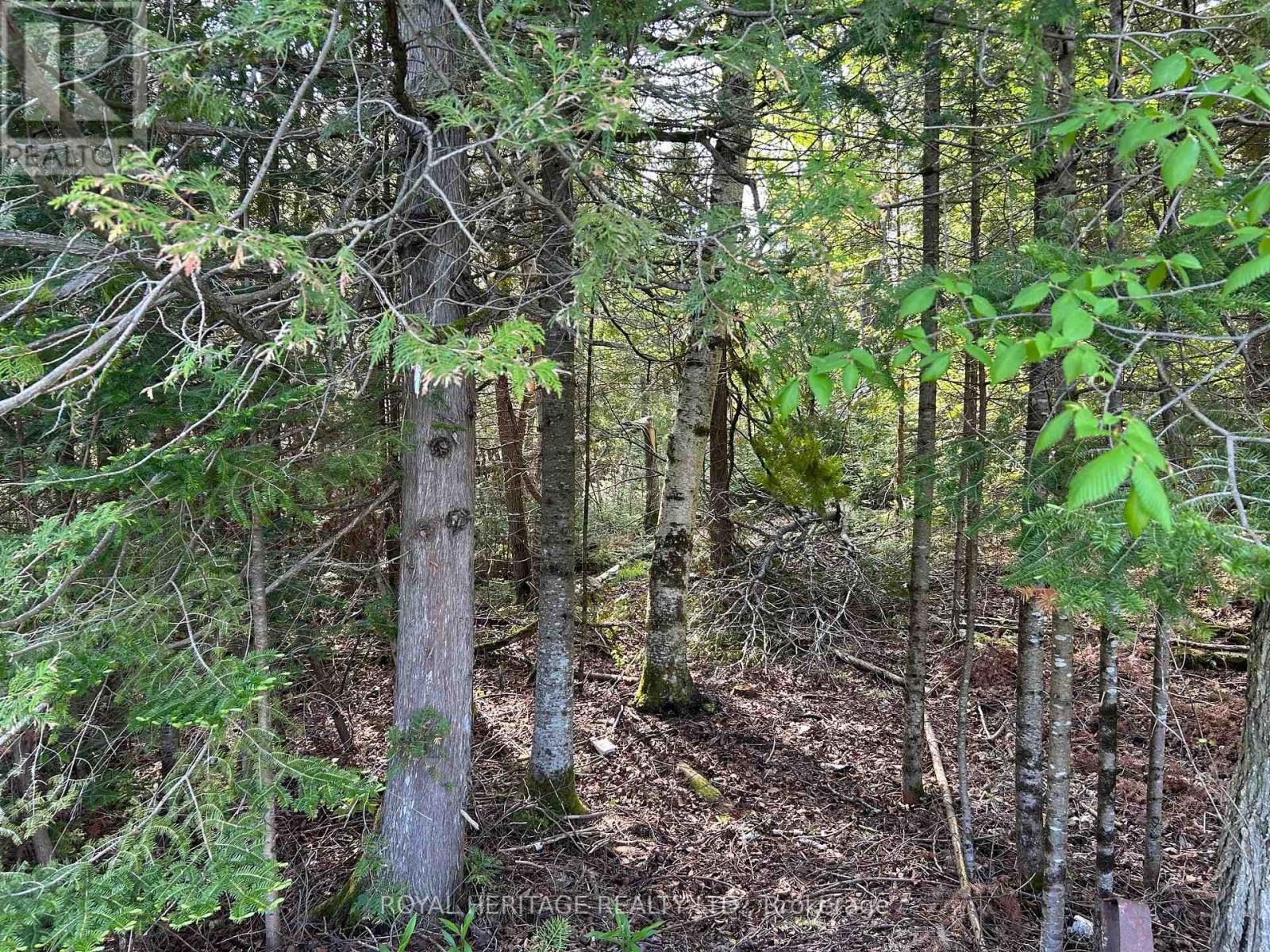 810 4th Line, Douro-Dummer, Ontario  K0L 3E0 - Photo 11 - X9341511