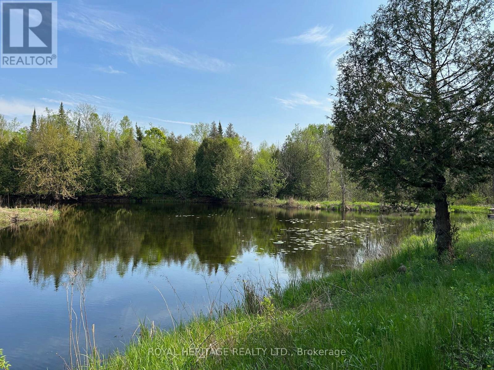 810 4th Line, Douro-Dummer, Ontario  K0L 3E0 - Photo 3 - X9341511
